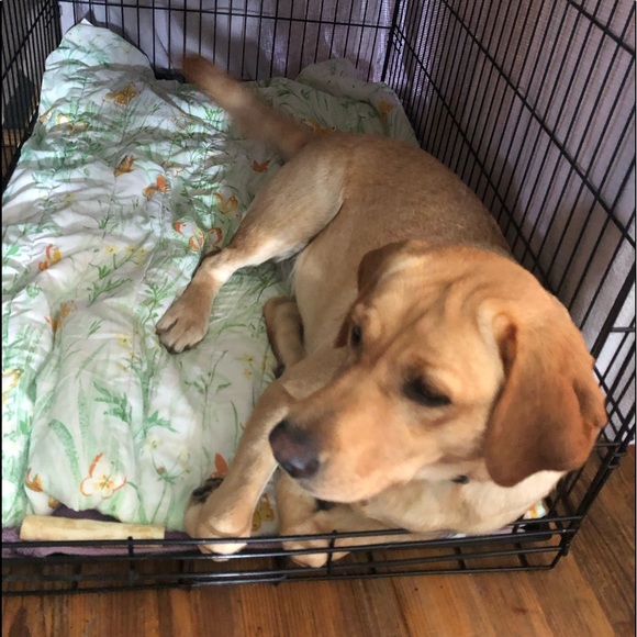 Meet your Posher, Catherine - Picture 1 of 1